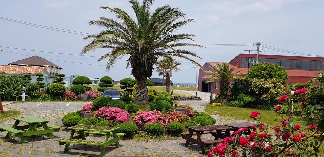 Jeju Again Olle Pension Zewnętrze zdjęcie